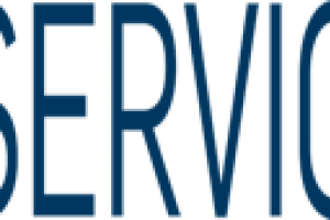 IT.SERVICES Logo