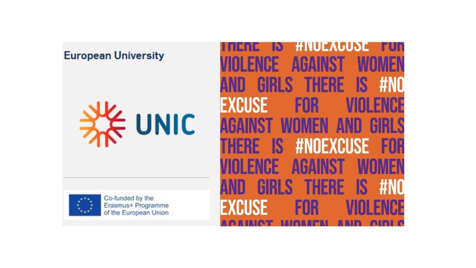Logo „Violence against Women and Domestic Violence”